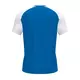 Футболка Joma ACADEMY IV SHORT SLEEVE T-SHIRT ROYAL-WHITE, Article Number: 101968.702, Размер: S