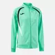 Олимпийка JOMA CHAMPIONSHIP 20 FULL ZIP SWEATSHIRT LIGHT GREEN BLACK, Артикул: 903196.422, Размер: S